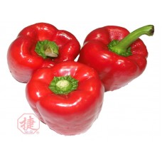 Pepper Bell Red